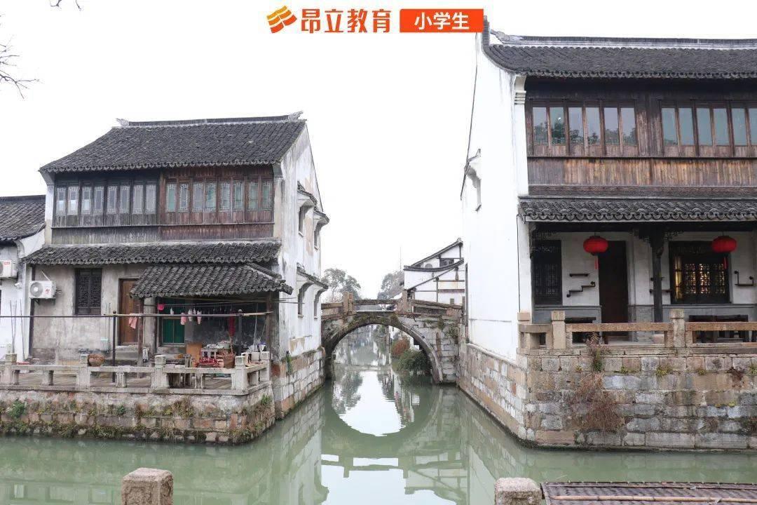 僵尸吃怪物